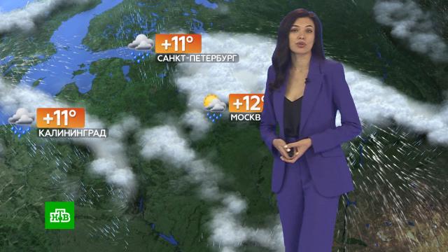 Прогноз погоды на 28 сентября.погода, прогноз погоды.НТВ.Ru: новости, видео, программы телеканала НТВ