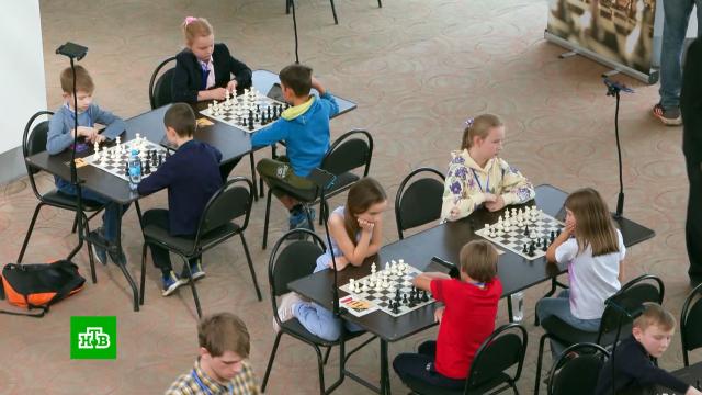 Столичные школьники взяли три золота на детском ЧМ по шахматам.Москва, дети и подростки, спорт, шахматы.НТВ.Ru: новости, видео, программы телеканала НТВ