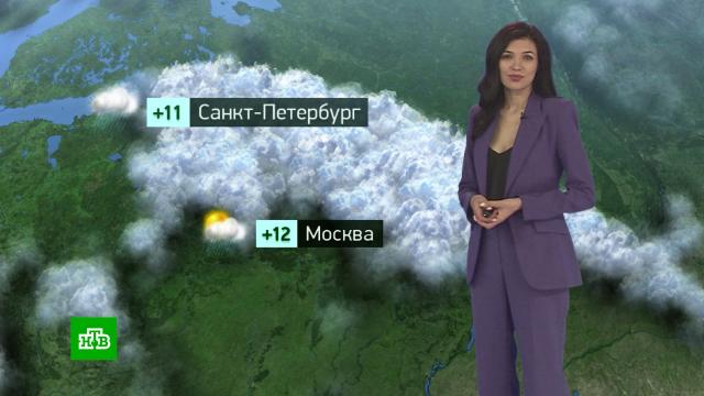 Утренний прогноз погоды на 28 сентября.погода, прогноз погоды.НТВ.Ru: новости, видео, программы телеканала НТВ