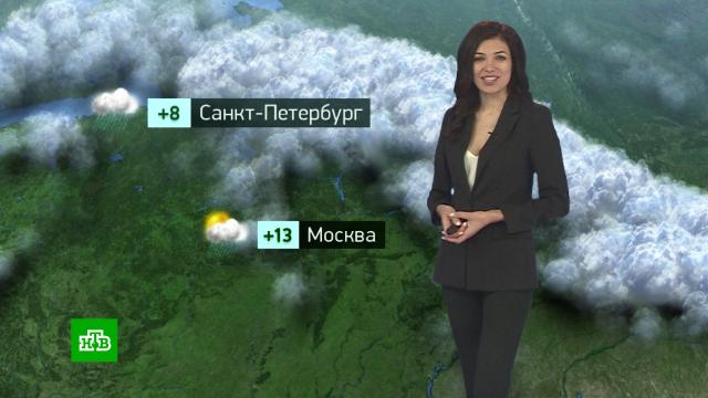 Утренний прогноз погоды на 29 сентября.погода, прогноз погоды.НТВ.Ru: новости, видео, программы телеканала НТВ