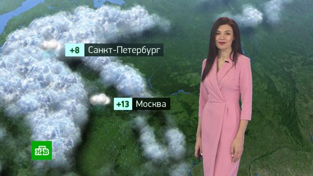 Утренний прогноз погоды на 4 октября.погода, прогноз погоды.НТВ.Ru: новости, видео, программы телеканала НТВ