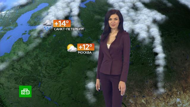 Прогноз погоды на 6 октября.погода, прогноз погоды.НТВ.Ru: новости, видео, программы телеканала НТВ