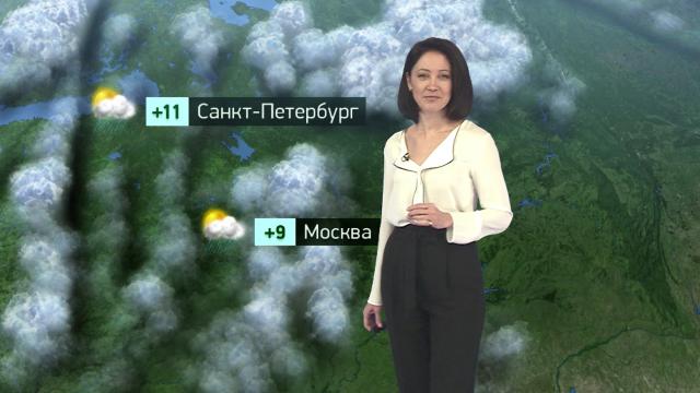 Утренний прогноз погоды на 5 октября.погода, прогноз погоды.НТВ.Ru: новости, видео, программы телеканала НТВ