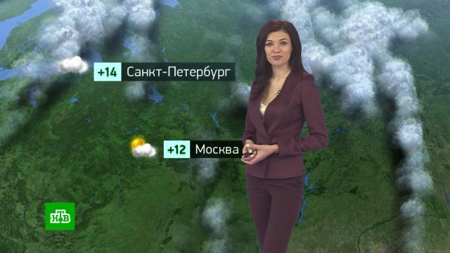 Утренний прогноз погоды на 6 октября.погода, прогноз погоды.НТВ.Ru: новости, видео, программы телеканала НТВ