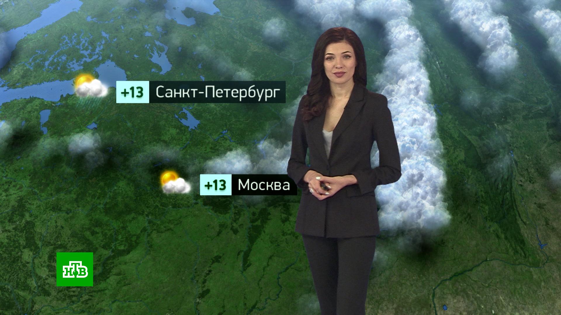 Ведущая погоды ирина полякова