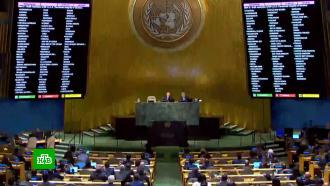 ГА ООН приняла антироссийскую резолюцию по референдумам