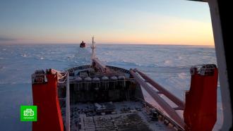 Полярники рассказали о грядущих научных исследованиях в Антарктиде