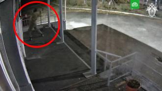 В Коми неизвестный разбил топором мемориальную доску в честь «Моторолы» и попал на видео 