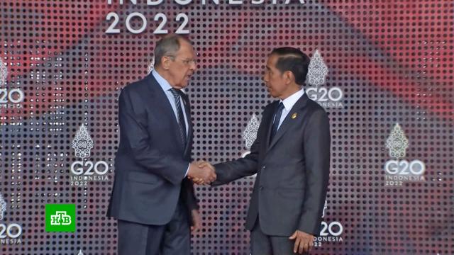 Саммит G20: индонезийцы призвали к гибкости в отношении России.МИД РФ, G20, Байден, переговоры, Индонезия, Украина, санкции, США.НТВ.Ru: новости, видео, программы телеканала НТВ