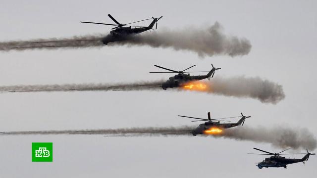 «Аллигаторы» выходят на охоту: вертолеты Ка-52 уничтожают целые подразделения ВСУ.Украина, авиация, армии мира, армия и флот РФ, войны и вооруженные конфликты.НТВ.Ru: новости, видео, программы телеканала НТВ