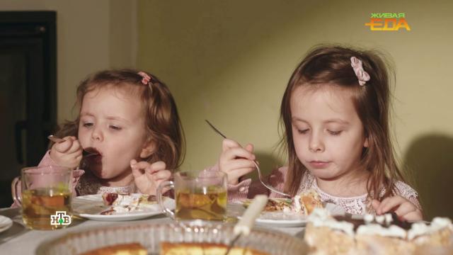 Правильное начало дня: каким должен быть идеальный завтрак.дети и подростки, еда, здоровье, лишний вес/диеты/похудение, продукты.НТВ.Ru: новости, видео, программы телеканала НТВ