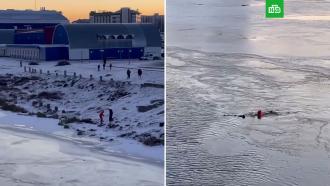 Спасение девушки из замерзшей реки в Марий Эл попало на видео