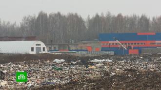 Давно закрытая мусорная свалка под Рязанью отравляет жизнь местным жителям