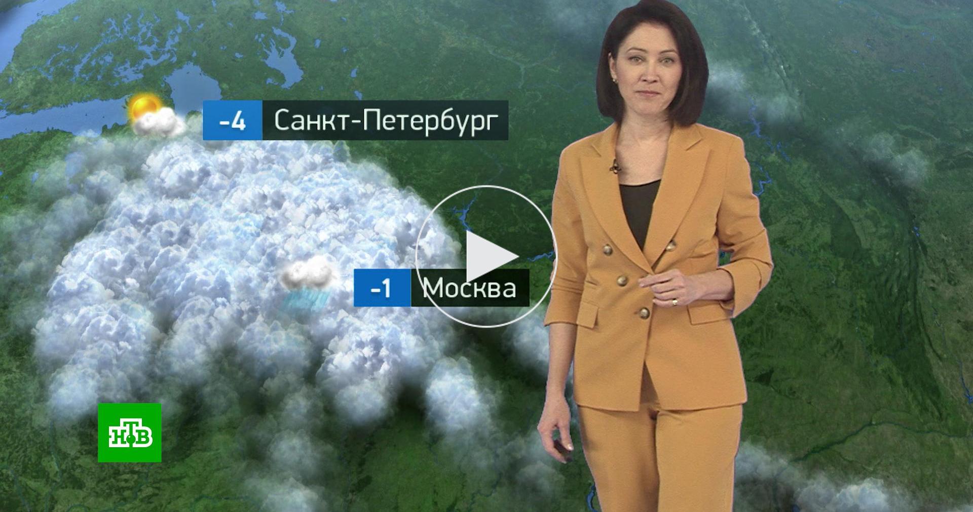 Утренний прогноз погоды на 22 ноября // НТВ.Ru