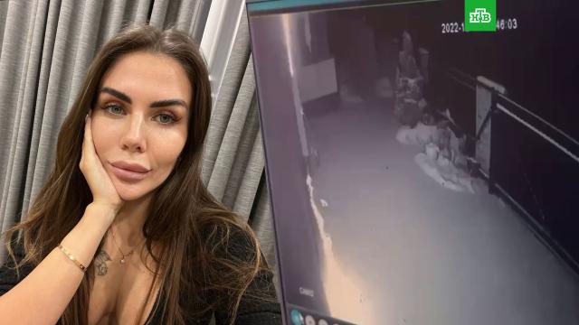 Дом украинской блогерши закидали коктейлями Молотова в Латвии.НТВ.Ru: новости, видео, программы телеканала НТВ