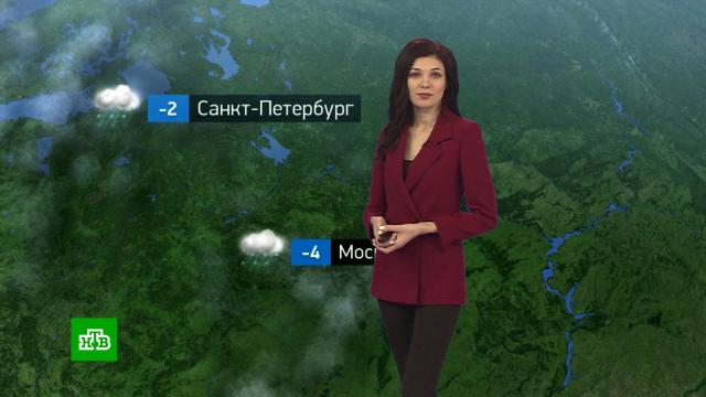 Утренний прогноз погоды на 8 декабря.погода, прогноз погоды.НТВ.Ru: новости, видео, программы телеканала НТВ