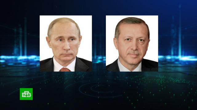 Путин и Эрдоган обсудили «зерновую сделку», Сирию и энергетику.Путин, Турция, Эрдоган, переговоры.НТВ.Ru: новости, видео, программы телеканала НТВ