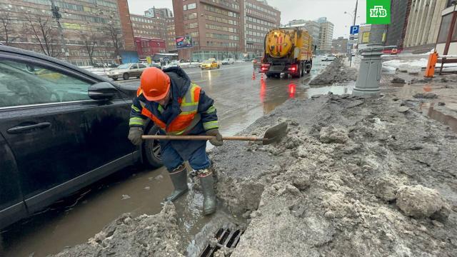 Купить Трилактан В Санкт Петербурге
