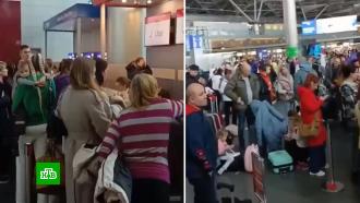 Сотни туристов не смогли вылететь в Египет и застряли в Москве