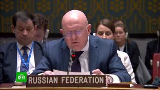 Небензя назвал выдуманными обвинения в использовании РФ на Украине иранских беспилотников