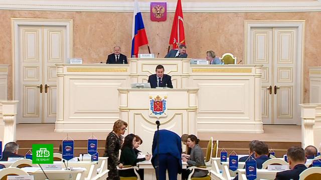Петербургские депутаты перед каникулами утвердили новые меры соцподдержки