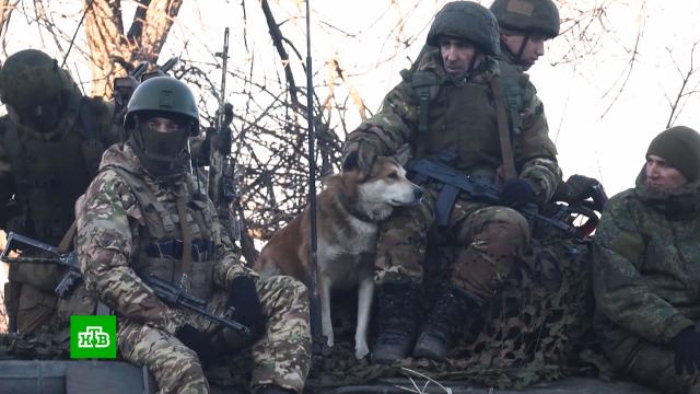 «  »:       ., ,    ,    ..Ru: , ,   