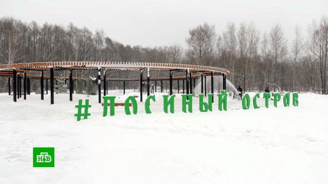 В нацпарке «Лосиный остров» начали накатывать лыжные трассы.Москва, лыжный спорт, парки и скверы.НТВ.Ru: новости, видео, программы телеканала НТВ