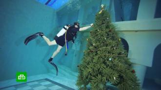 Погрузились в праздник: подводную елку установили под Петербургом