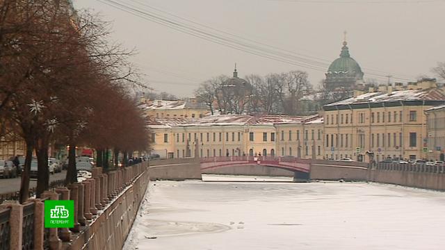 ,  ,  :  2022    .-, ,  , , , ,   ..Ru: , ,   