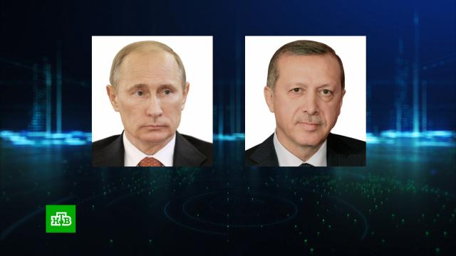В Кремле раскрыли подробности разговора Путина с Эрдоганом.Путин, Украина, Эрдоган, войны и вооруженные конфликты, газ.НТВ.Ru: новости, видео, программы телеканала НТВ