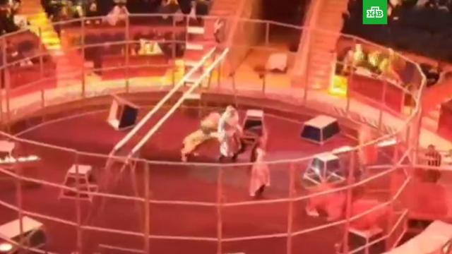 ��� ����� �� ������������� � ��������� �����.����, ��������, ����, ���������, ����.���.Ru: �������, �����, ��������� ���������� ���