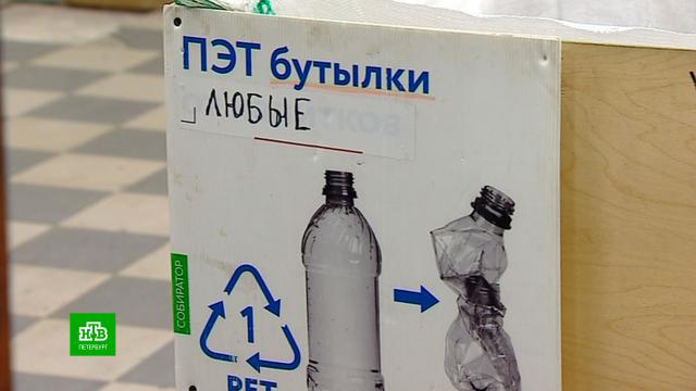 Петербуржцев призывают правильно выбрасывать полимеры.Санкт-Петербург, мусор, экология.НТВ.Ru: новости, видео, программы телеканала НТВ