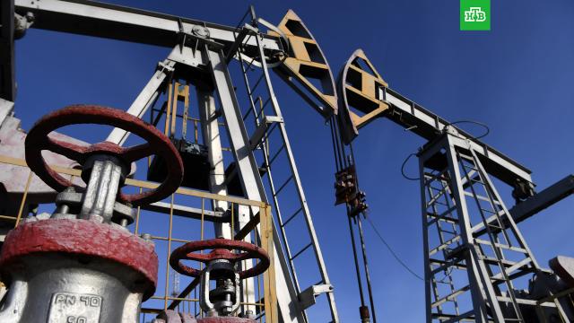 Стоимость нефти Urals упала ниже 50 долларов за баррель.нефть, санкции, торговля.НТВ.Ru: новости, видео, программы телеканала НТВ