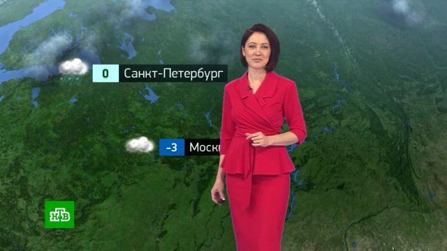 Утренний прогноз погоды на 24 января.погода, прогноз погоды.НТВ.Ru: новости, видео, программы телеканала НТВ
