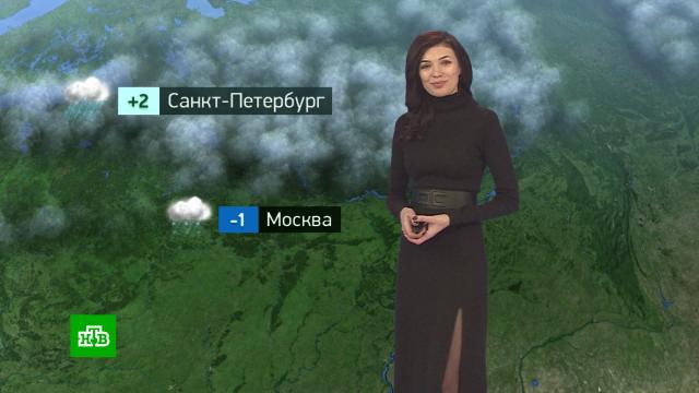 Утренний прогноз погоды на 26 января.погода, прогноз погоды.НТВ.Ru: новости, видео, программы телеканала НТВ