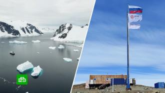 Научное сообщество празднует годовщину открытия Антарктиды
