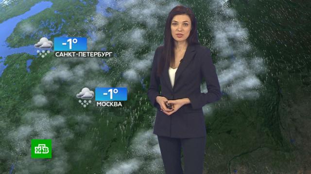 Прогноз погоды на 1 февраля.погода, прогноз погоды.НТВ.Ru: новости, видео, программы телеканала НТВ