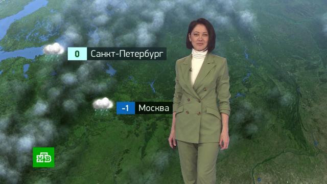 Утренний прогноз погоды на 31 января.погода, прогноз погоды.НТВ.Ru: новости, видео, программы телеканала НТВ