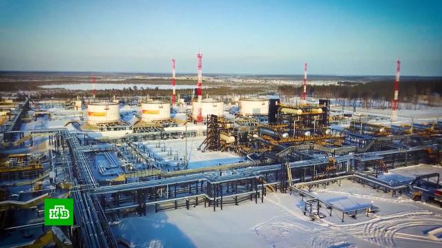 С 1 февраля заработал запрет на продажу российской нефти с «потолком цен».нефть, санкции.НТВ.Ru: новости, видео, программы телеканала НТВ
