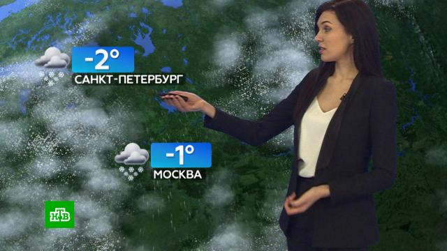 Прогноз погоды на 2 февраля.погода, прогноз погоды.НТВ.Ru: новости, видео, программы телеканала НТВ
