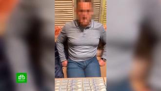 В московском аэропорту задержали мошенника из Ленобласти