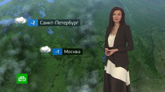 Утренний прогноз погоды на 2 февраля.погода, прогноз погоды.НТВ.Ru: новости, видео, программы телеканала НТВ