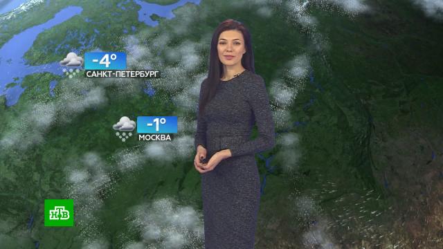 Прогноз погоды на 4 февраля.погода, прогноз погоды.НТВ.Ru: новости, видео, программы телеканала НТВ