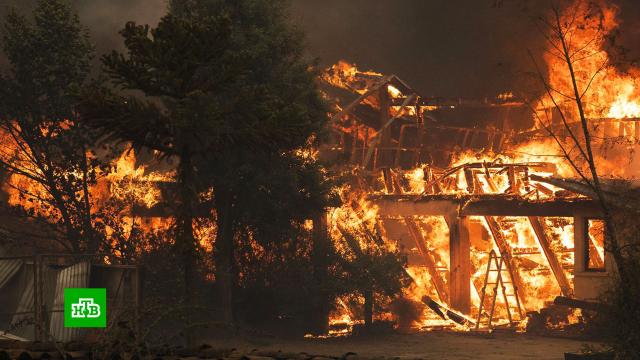 Жертвами лесных пожаров в Чили стали более 20 человек.Чили, лесные пожары.НТВ.Ru: новости, видео, программы телеканала НТВ