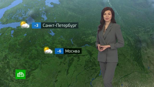Утренний прогноз погоды на 7 февраля.погода, прогноз погоды.НТВ.Ru: новости, видео, программы телеканала НТВ