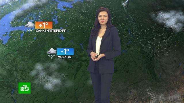 Прогноз погоды на 9 февраля.погода, прогноз погоды.НТВ.Ru: новости, видео, программы телеканала НТВ
