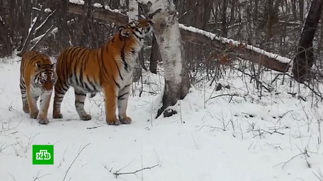         . ,  , , , ..Ru: , ,   