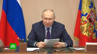 Путин поручил выстроить стратегический вектор развития лесопромышленного комплекса