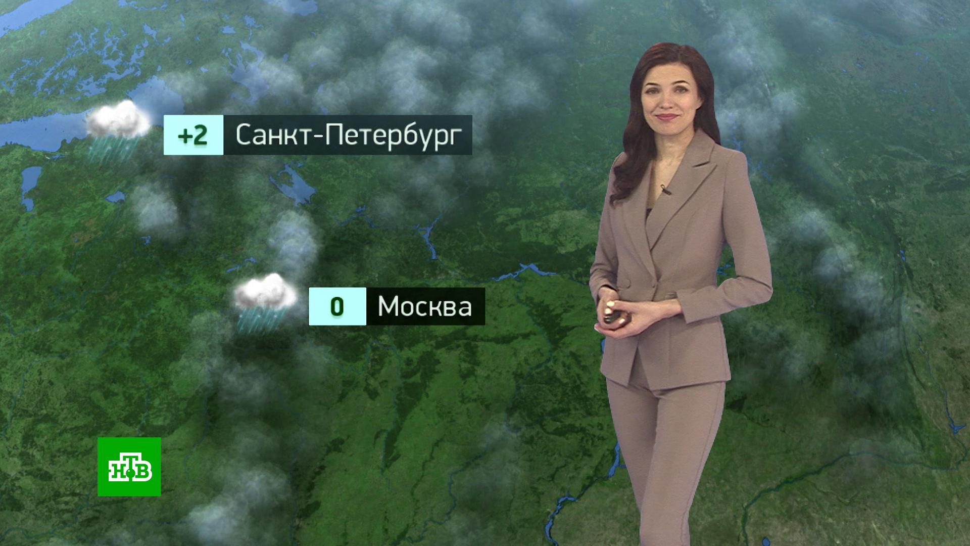 Полякова ирина телеведущая википедия фото в купальнике