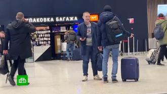 Молоды, здоровы и хорошо одеты: в московских аэропортах орудует банда авиапопрошаек